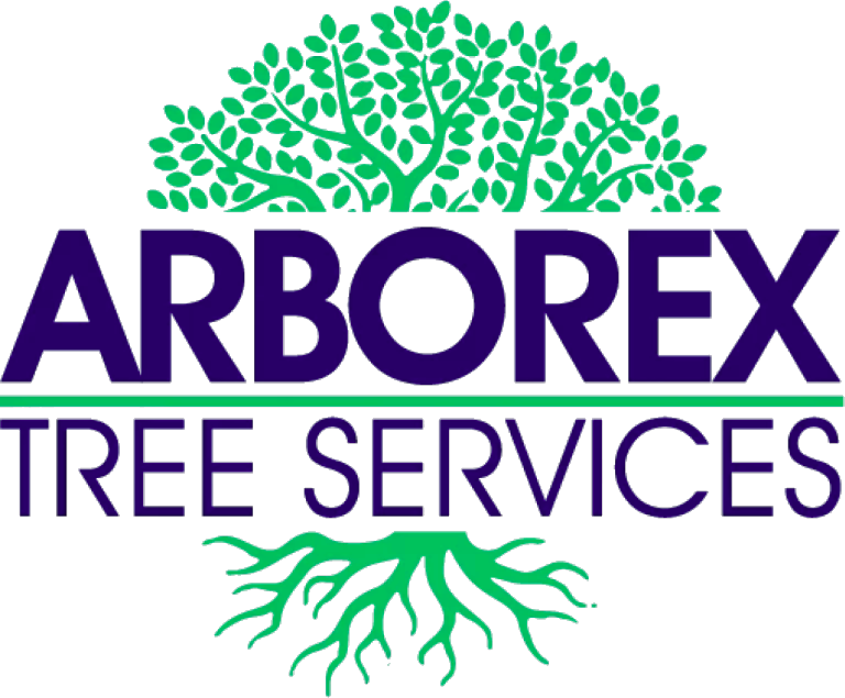 Arborex Tree Services
